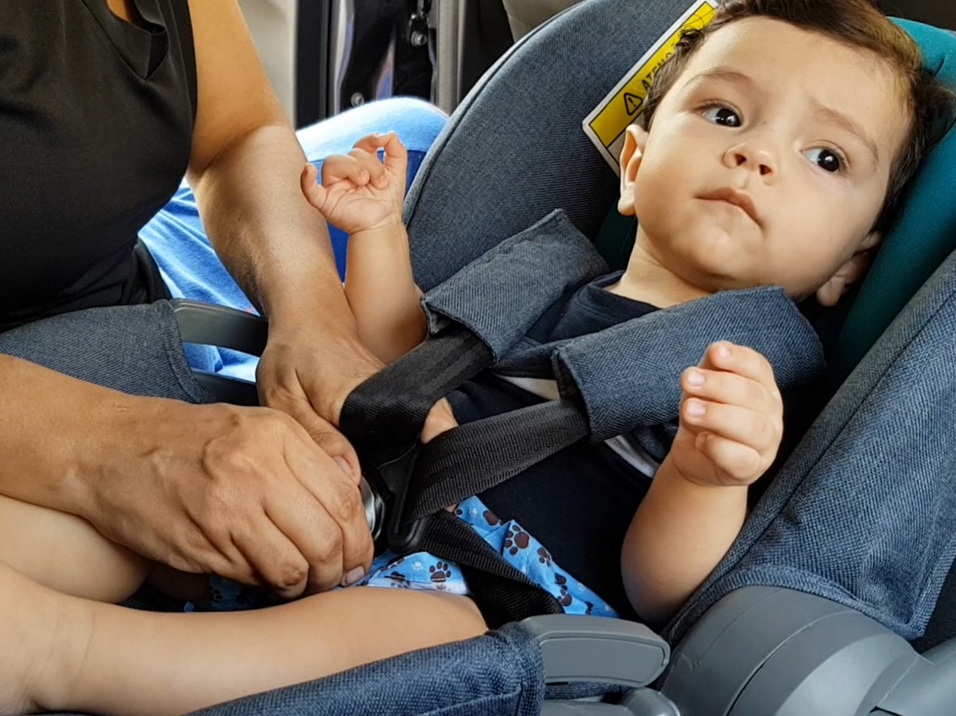 Semana da Criança: em Campinas, pequenos têm pouca segurança em carros