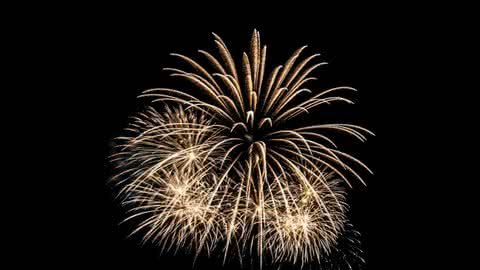 A decisão foi motivada pelo cenário de emergência financeira - Imagem: Freepik