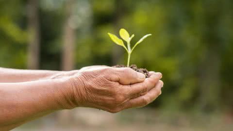 Santos e São Vicente ganham programação dedicada à Semana Nacional do Meio Ambiente; confira - Imagem: Reprodução/Freepik