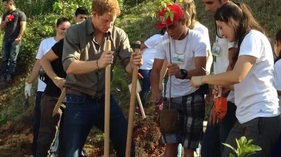 Árvore plantada pelo Príncipe Harry é roubada no litoral de SP - Imagem: Reprodução/ Redes Sociais