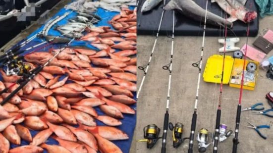 Dois tubarões-martelo e 168 kg de peixe foram apreendidos - Imagem: Reprodução/ Polícia Militar Ambiental