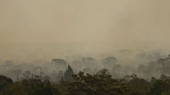 Queimadas em 2024: Brasil Registra um dos Maiores Índices da Década - Imagem: Reprodução/ Marcelo Camargo/ Agência Brasil