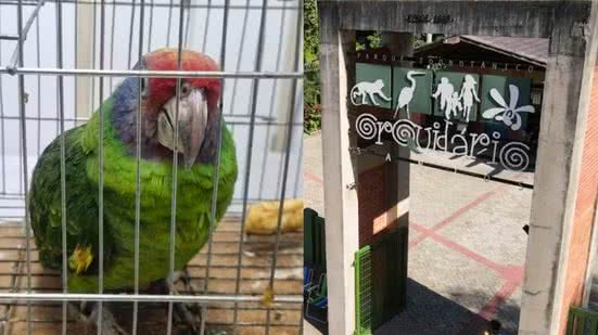 Os guardas municipais abordaram um grupo de cinco menores - Imagem: Divulgação/ G1