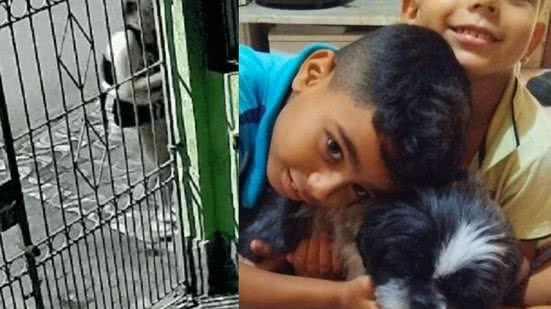 Cadela havia sido levada da residência onde mora com os donos em Praia Grande - Imagem: Reprodução/ Arquivo Pessoal/ g1