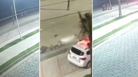 Corpo de homem é encontrado em praia do litoral; principal suspeita é de afogamento - Imagem: Reprodução/ SOS Mongaguá