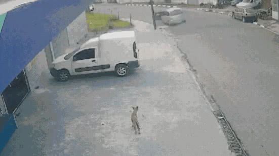 Motociclista é atropelado após briga em bar - Imagem: Reprodução/ Redes Sociais