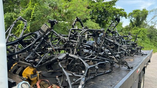 Mais de 40 quadros apreendidos - Imagem: Reprodução/ Polícia Civil