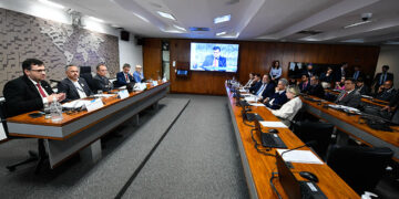 Brasil espera combater mudanças climáticas de forma equilibrada e viável, dizem especialistas — Senado Notícias