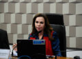 CDH vota incentivo ao trabalho voluntário dos jovens — Senado Notícias