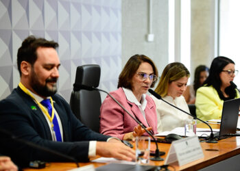 Educação e segurança devem caminhar entrelaçadas, dizem debatedores — Senado Notícias