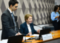 Tereza Cristina presidirá comissão da MP da licença ambiental especial — Senado Notícias