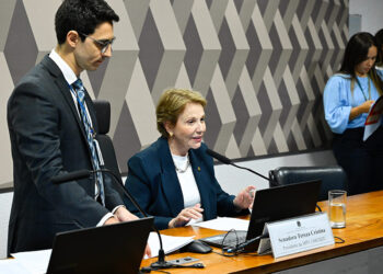 Tereza Cristina presidirá comissão da MP da licença ambiental especial — Senado Notícias
