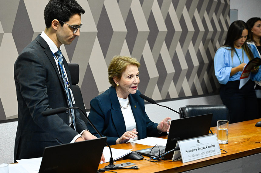 Tereza Cristina presidirá comissão da MP da licença ambiental especial — Senado Notícias