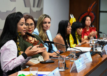 atendimento à mulher indígena vítima de violência deve respeitar especificidades — Senado Notícias