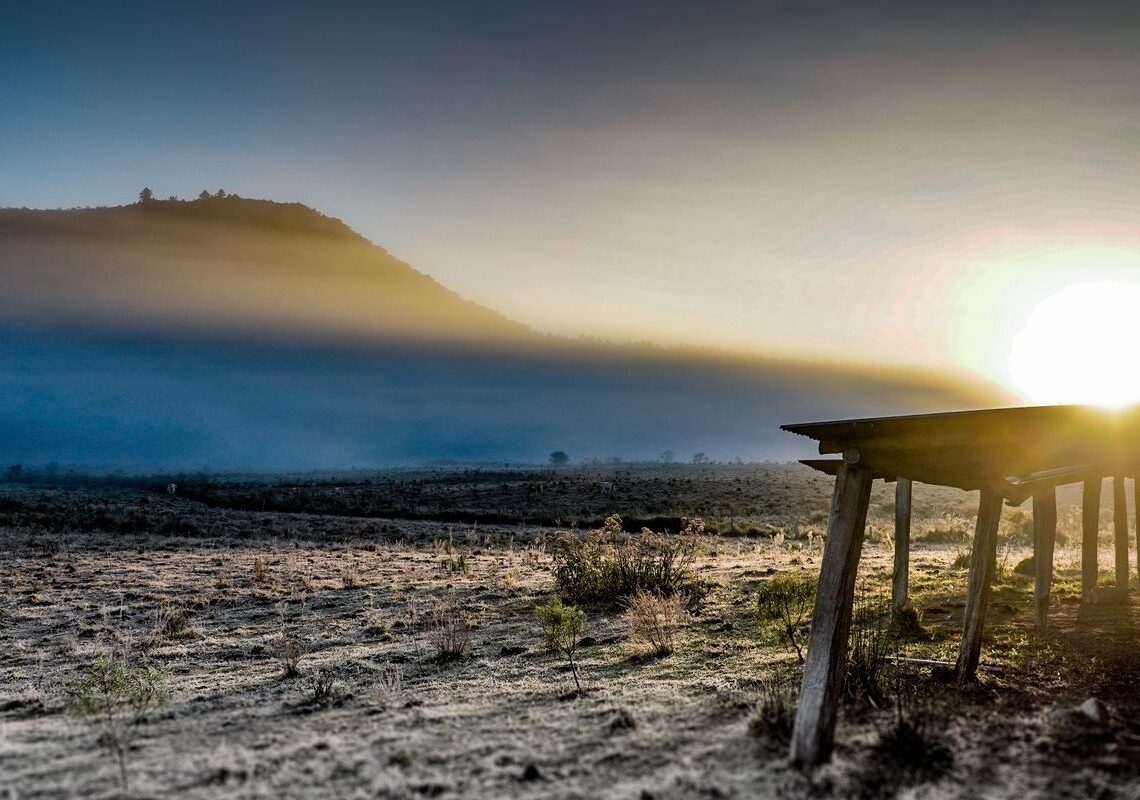 Governo abre crédito de R$ 12 bilhões para produtores rurais