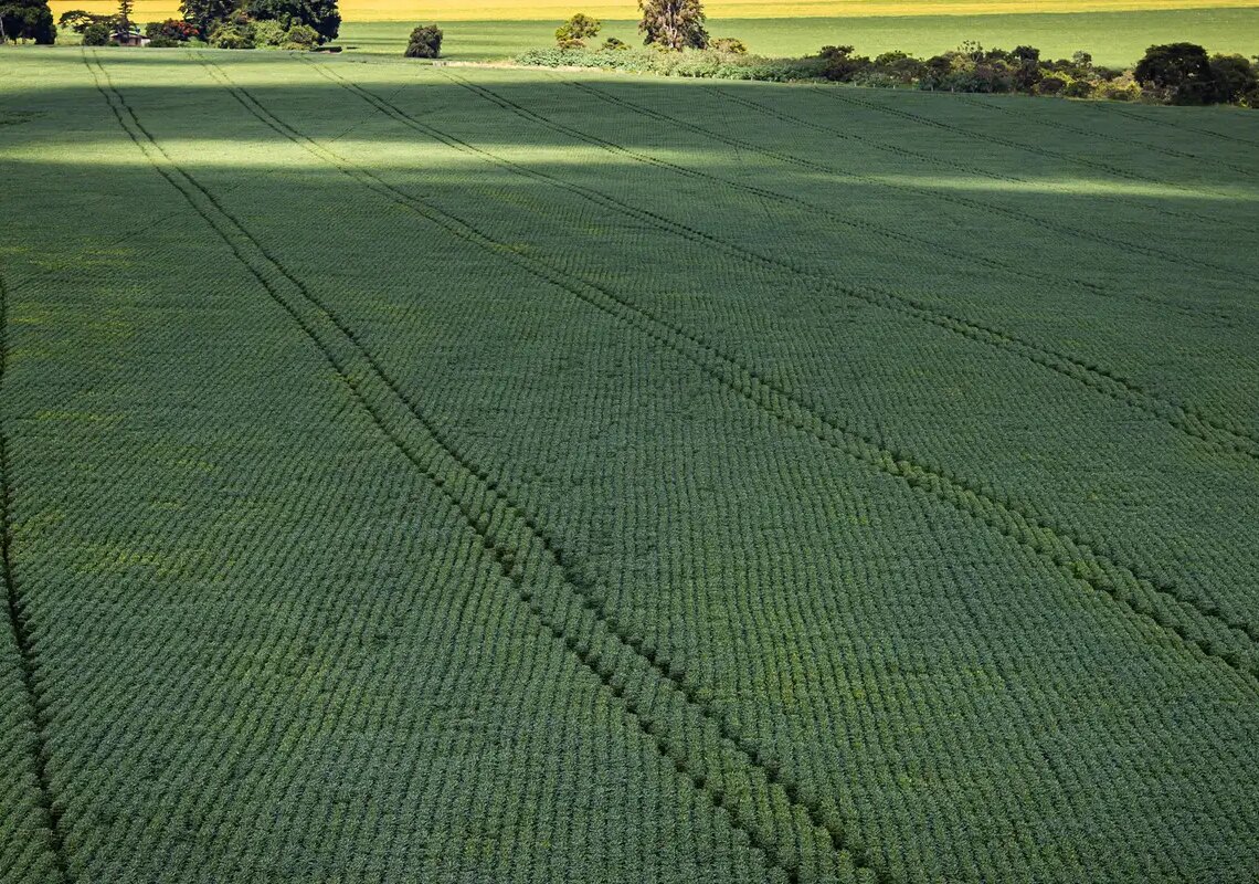 Prazo para entregar declaração do ITR 2025 termina nesta terça-feira