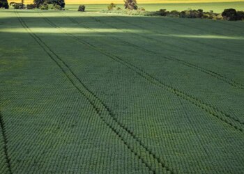 Prazo para entregar declaração do ITR 2025 termina nesta terça-feira