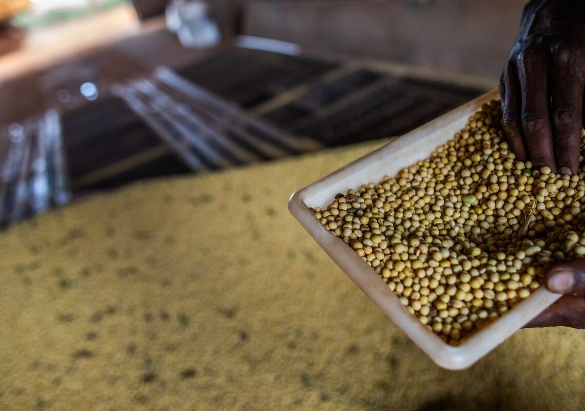 Sorriso, no MT, tem maior PIB agrícola do país; veja o ranking