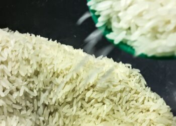 Conab anuncia R$ 300 milhões para produtores de arroz na safra 2025/26