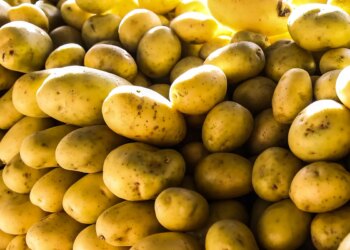 Batata, ovos e verduras reduzem pressão inflacionária em agosto em SP