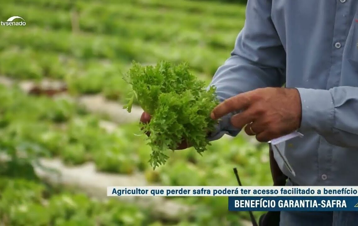 Senado aprova mudanças no benefício garantia-safra — Senado Notícias