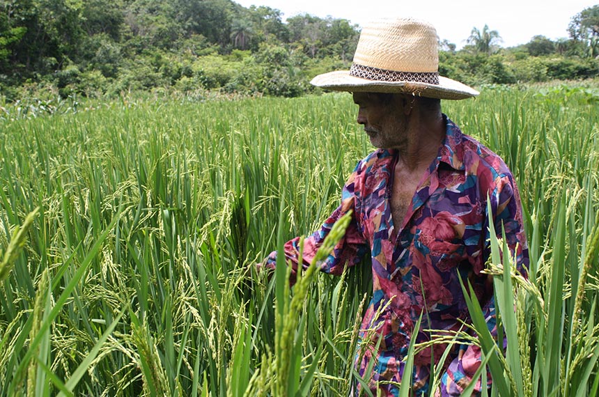 MP libera R$ 38 milhões para assistência técnica e extensão rural no Norte — Senado Notícias