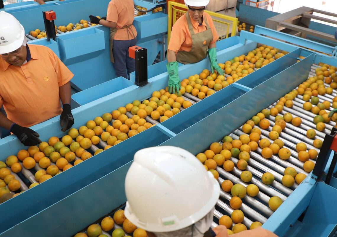 Exportação de produtos atingidos por tarifaço cai 22% em agosto