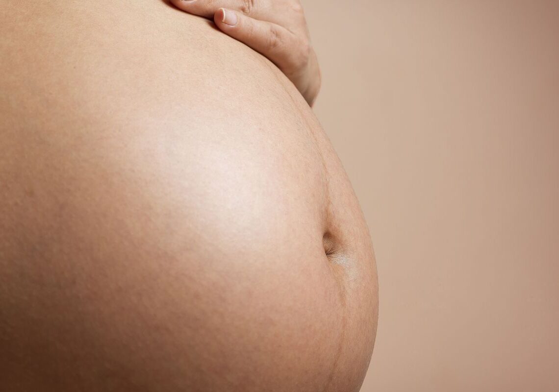 Estudo busca eliminar transmissão vertical de vírus que causa leucemia