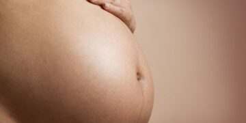 Estudo busca eliminar transmissão vertical de vírus que causa leucemia