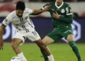 Palmeiras joga futuro na Libertadores diante da LDU