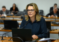 Pesca sustentável está na pauta da CMA — Senado Notícias