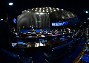 Plenário ratifica acordo com Países Baixos sobre informações classificadas — Senado Notícias