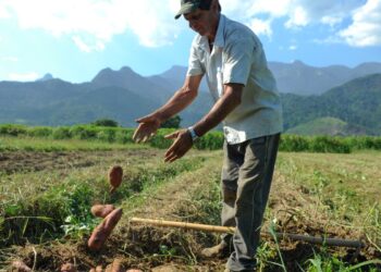 BNDES vai liberar R$ 12 bi para produtores rurais com perdas de safra