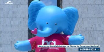 Boneco inflável no Congresso chama a atenção para o câncer de mama — Senado Notícias