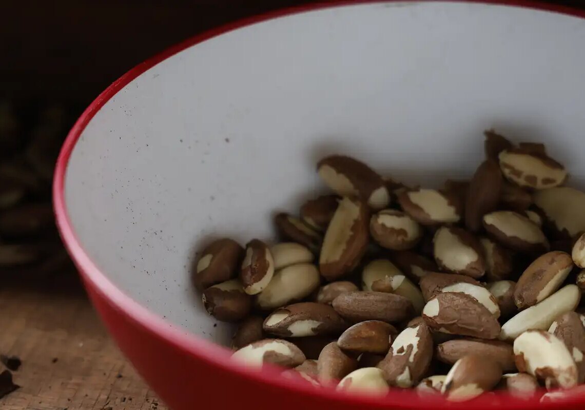 Agricultura familiar do Nordeste vai à maior feira mundial alimentos