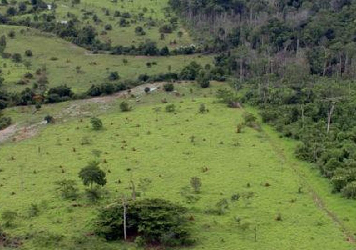 Governo prorroga prazo para georreferenciamento de imóveis rurais