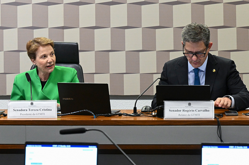 Grupo sobre mineração em terras indígenas aprova plano de trabalho — Senado Notícias