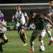 Nacional transmite partida entre Ceará e Fluminense neste domingo