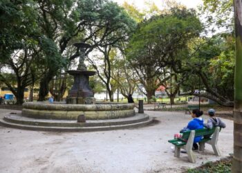 Entra em vigor lei que garante melhor comunicação para pessoas com deficiência – Notícias