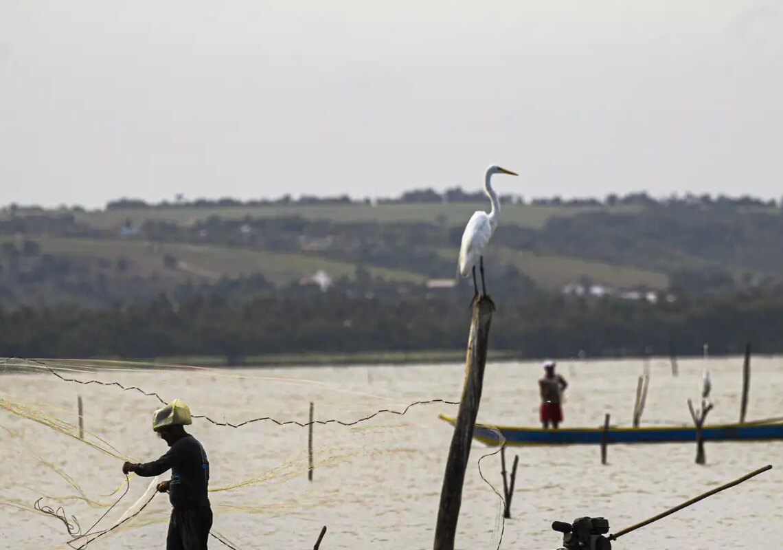 Gestão do seguro-defeso passa oficialmente ao Ministério do Trabalho