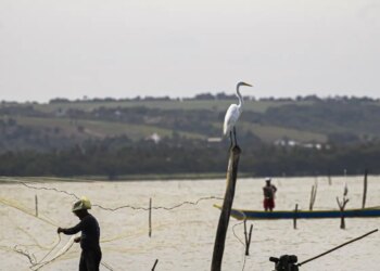 Gestão do seguro-defeso passa oficialmente ao Ministério do Trabalho