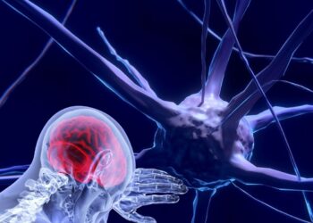 Unesco faz recomendação inédita para uso ético da neurotecnologia
