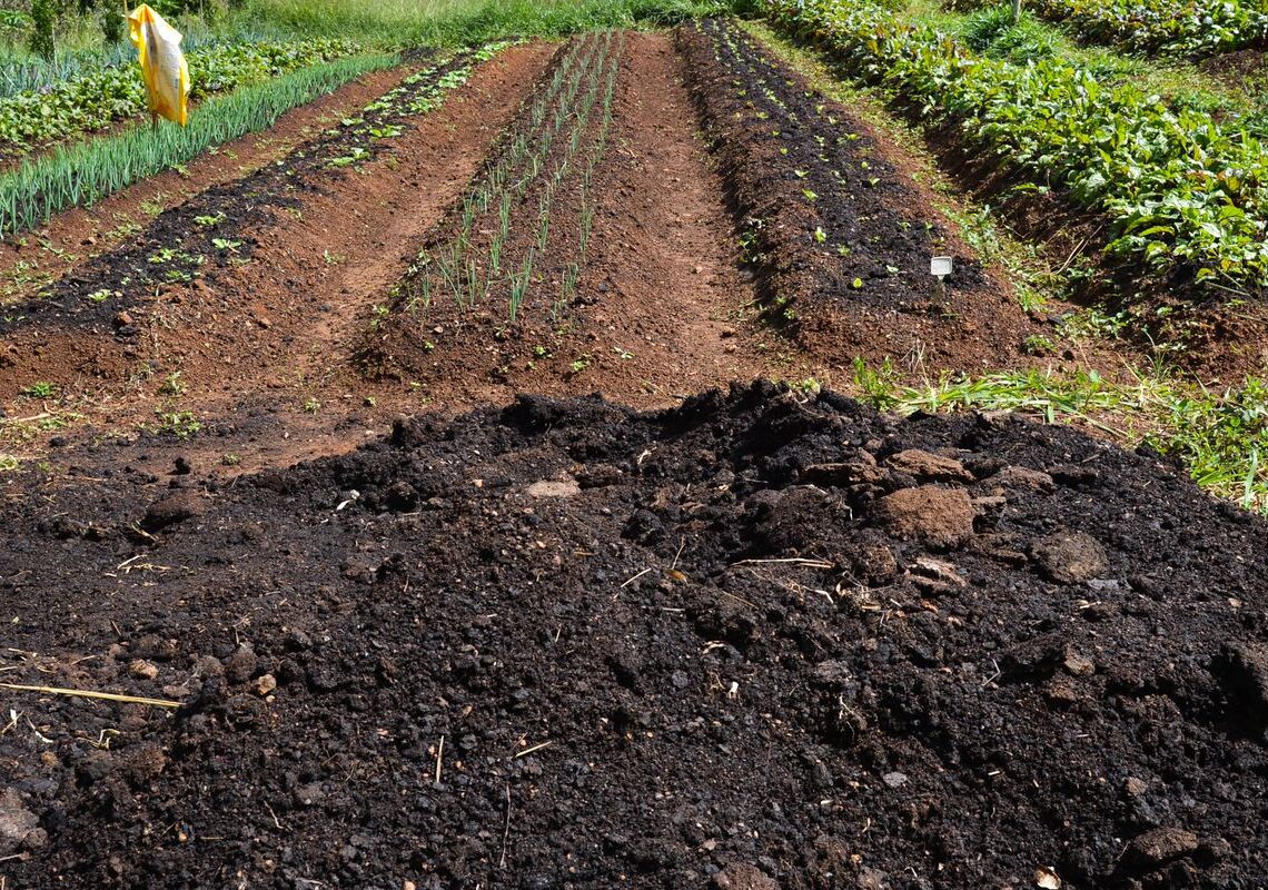 CMN amplia socorro a produtores afetados pelo clima