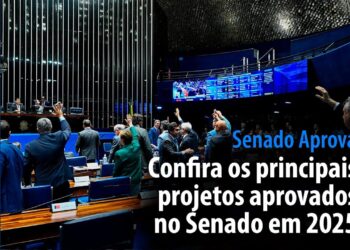 confira os principais projetos aprovados no Senado em 2025 — Senado Notícias