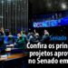 confira os principais projetos aprovados no Senado em 2025 — Senado Notícias