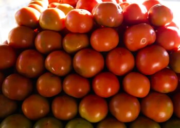 Inflação da comida em casa cai 0,2% em novembro, sexto recuo seguido