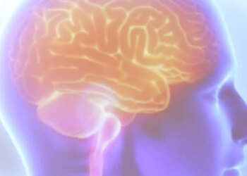 Projeto Ártemis avalia genética de pacientes que sofreram AVC