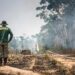 Medida provisória libera R$ 60,46 mi para combate a incêndios e desmatamento — Senado Notícias
