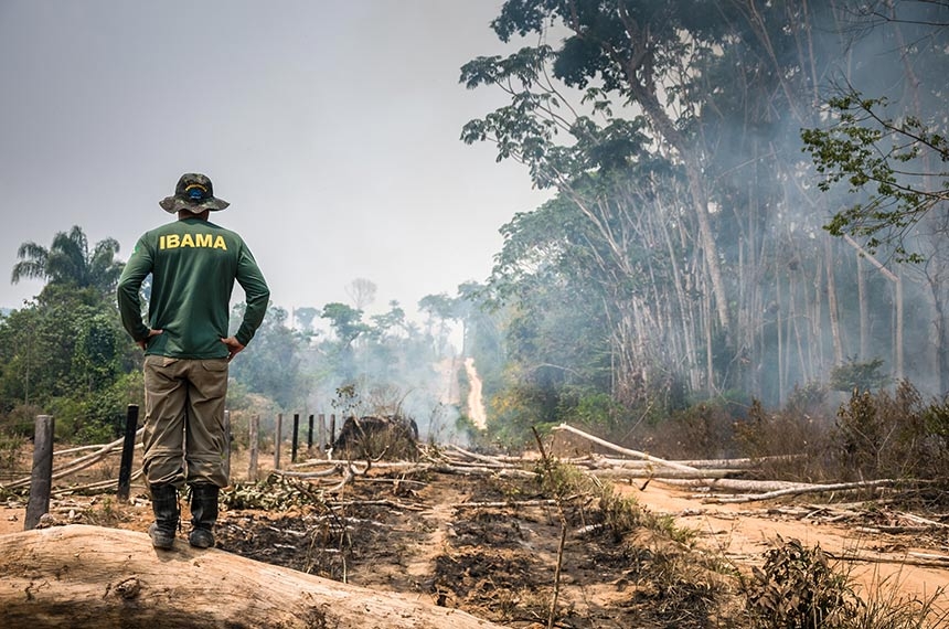 Medida provisória libera R$ 60,46 mi para combate a incêndios e desmatamento — Senado Notícias