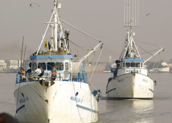 Lei regulamenta profissão de marinheiro de esporte e recreio — Senado Notícias